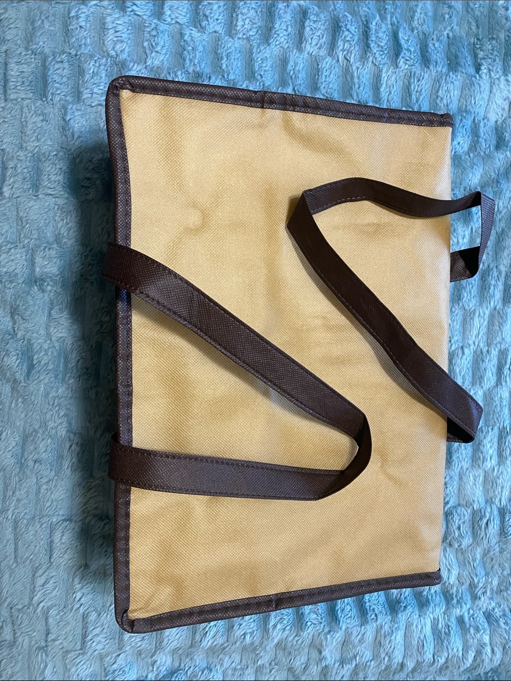Double Insulated Canvas Carrier w/2 food safe inserts (w/tackle box charcuterie)